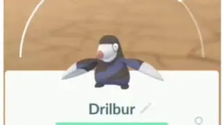 PokemonGo || Evolution || Pok&eacute;mon 9 || Drilbur 🖤 💜 || Excadrill 🖤 ❤️ ✴️🕳️