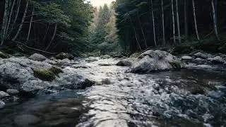 Soothing River Water Sounds 🌿 ASMR for Anxiety Relief, Focus & Deep Relaxation