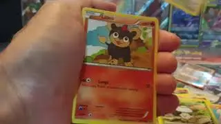 POKEMON TCG XY STEAM SIEGE YANMEGA BREAK! Episode 23 (part 1 of 2)