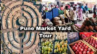 Pune Market Yard Tour (मराठी) | पुणे मार्केट यार्ड | Gultekdi Market | Fruit Market Yard Pune | Pune