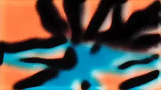 Ari Bald & CJ Scott - Orangotango (Studio Barnhus)