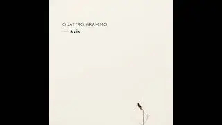 Quattro Grammo | 