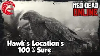 Hawks Locations rdr2 Online - Red Dead Online Hawks Location Guide