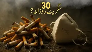 PM 2.5 The Invisible Danger in the Air We Breathe | Sawal Ye Hai