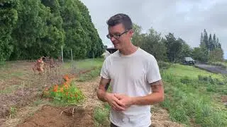 Tips for Starting a Survival Garden