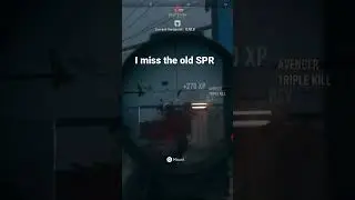 Does anyone else hate the new nerf on the SPR