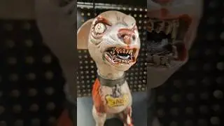 ZOMBIE DOGS HATE SLIDES! #halloween #spirithalloween #thatnateguyonyoutube