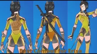 Best Combos for Erisa (Vivid)