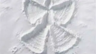 Amedeo - Snow (David Berman) (alternate version)