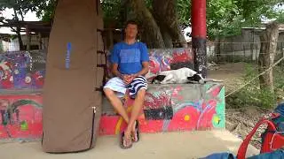 Wave Tribe Vibe