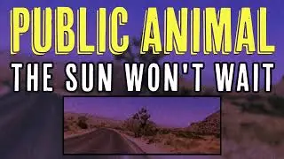 Public Animal - The Sun Won't Wait (Official Visualizer)