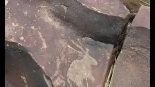 Wildebeest Kuil Rock Art Centre Kimberley - Northern Cape