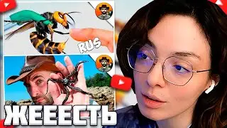 КОРЯ СМОТРИТ - КАЙОТ ПИТЕРСОН УКУС ЯПОНСКОГО ШЕРШНЯ // МОРСКИЕ СОЗДАНИЯ // КОРЯ В ШОКЕ