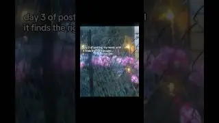 this song is called &ldquo;a thread remains the same&rdquo; #shoegaze #musician #nostalgia #alternative #altrock