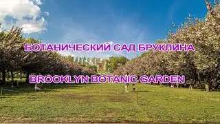 Ботанический сад в Бруклине - Brooklyn Botanic Garden HDR
