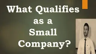 Meaning of Small Company
