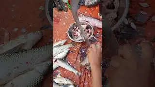 fast cutting video #fish #2023