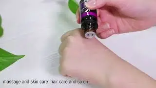 100% Pure Therapeutic Grade Essential Oils Kit