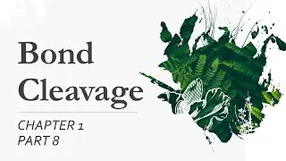 Bond Cleavage (Chapter 1; Part 8)