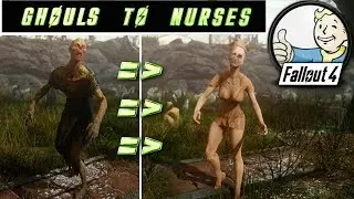 Ghouls to Nurses - Fallout 4 SMS