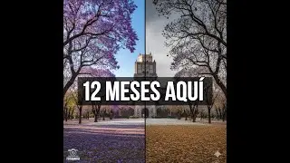 Un a&ntilde;o en el Bosque de Chapultepec | Fotograf&iacute;a Mes a Mes 📸