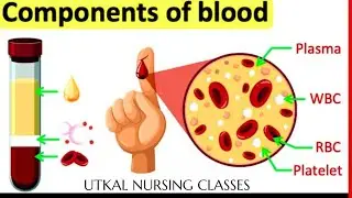 BLOOD TRANSFUSION PART-1/COMPONENT OF BLOOD/RBC/WBC/PLATELET/NORMAL RANGE/FUNCTION/FOR OSSSC/NORCET