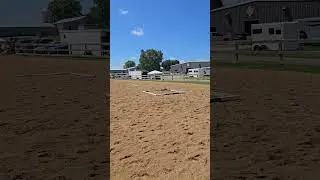 Great Outdoor Riding Arena! 🐎 #shorts