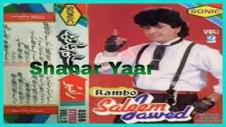 Dil ki Dunia Meri Kabhi Aisi Na Thi - Saleem Javed