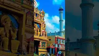 Real Kerala Story ❤️ Temple Mosque and Church #shorts #hindu #muslim #christian #secularism #kerala
