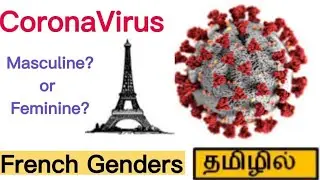 French Grammar in Tamil | Learn French in Tamil | France Tamil Channel| Easy french lessons in tamil