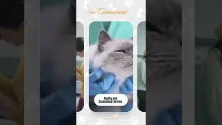 Your Trusted Partner in Animal Pet Care