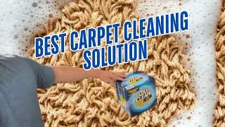 Best Carpet Cleaning Solution for Machines | Tips and Tricks