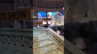 The Atlantis Show @ Cesar Palace