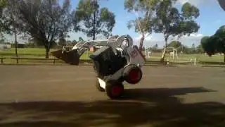 Bobcat tricks