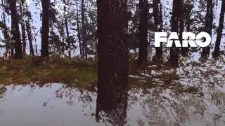 3D flythrough of Pinus radiata forest