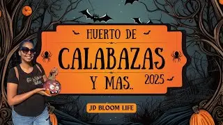 D&iacute;a de Diversi&oacute;n en el Huerto de Calabazas! 🎃 | Granja, M&uacute;sica y Actividades Familiares