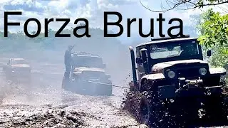 OFFROAD 4x4 VENENO PURO- 02! Trilha Batagussu 2020-03