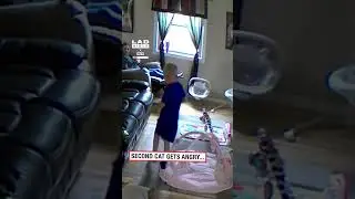 Вот уж действительно череда неудачных событий 😂 (🎥: Совместная работа)