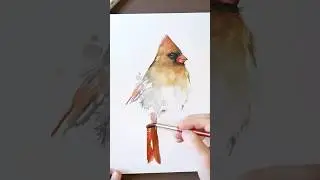 full video on my channel :) painting a female cardinal with watercolors