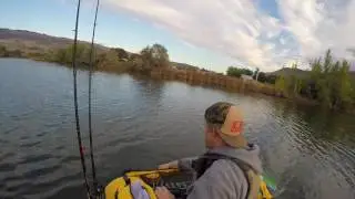 Обзор горелки для травы Evolution Baits!!!!!!!