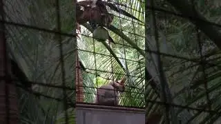 Highlight 1:01:58 - 1:06:58 from Kalikasan vlog1 is live!