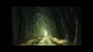 Stromy moje stromy, děreva vy moi děreva, Mark Komissarov a Hudebni Svet Dejavu