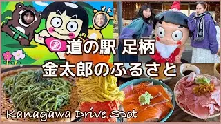 【道の駅】日帰りドライブで足柄の地元グルメを満喫！神奈川おすすめスポット・金太郎のふるさと(#118)