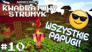 🌴 KWADRATOWY STRUMYK #10 - Złap je wszystkie! 🐦