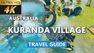 [4k] Kuranda Village Travel Guide | Kuranda village in the rainforest | Cairns attractions