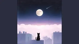 sueño de gato