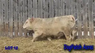 lot12