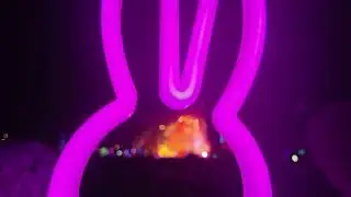PRETTY LIGHTS 4K ELECTRIC FOREST 2024