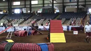 Ronin Challenge Standard Cynosports 2013