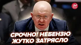 💥СКАНДАЛ в ООН! Украина  РАЗНОСИТ НЕБЕНЗЮ (ВИДЕО). Перепалка в ЗАЛЕ разрывает сеть